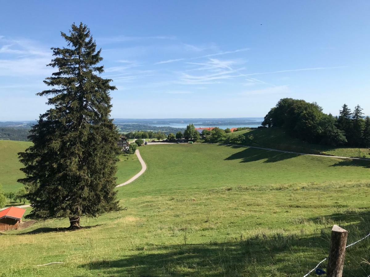 Fewo Chiemsee Spezial Ашау-им-Химгау Экстерьер фото